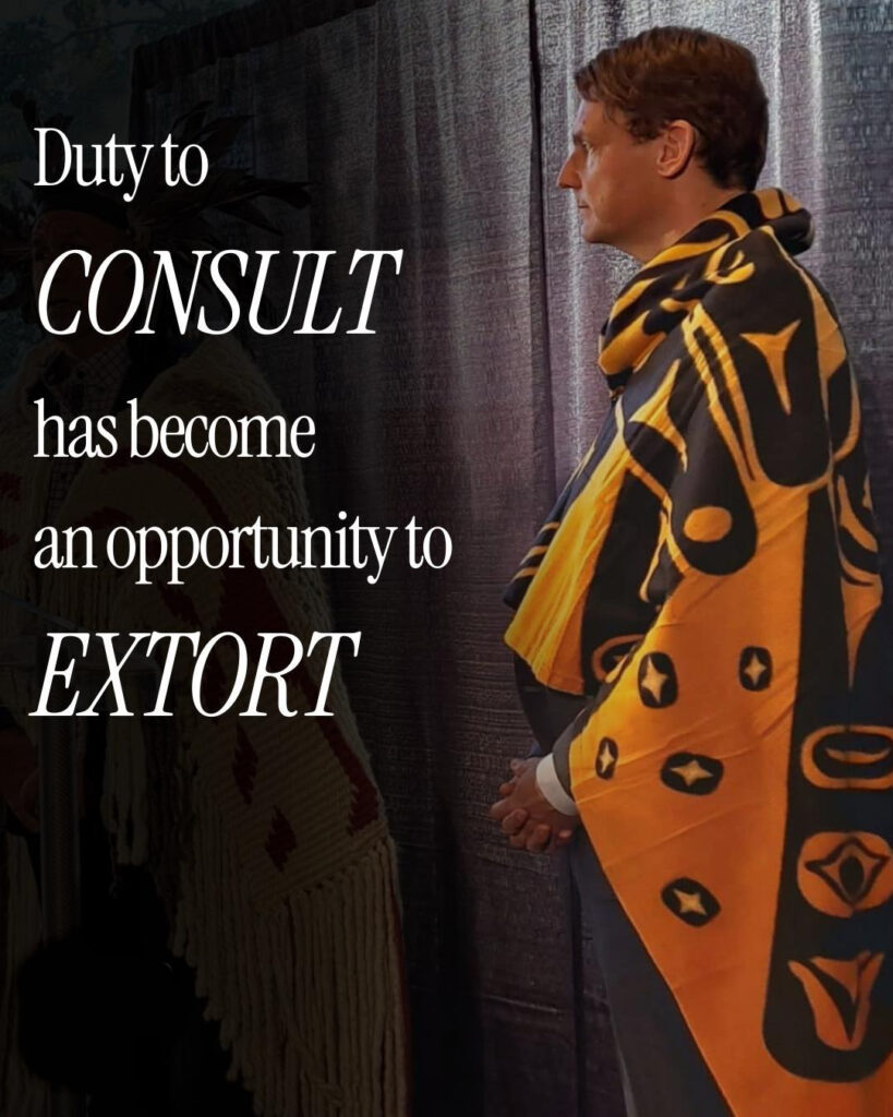 The NDP using racial divide to acquire Net Zero The NDP using racial divide to acquire Net Zero