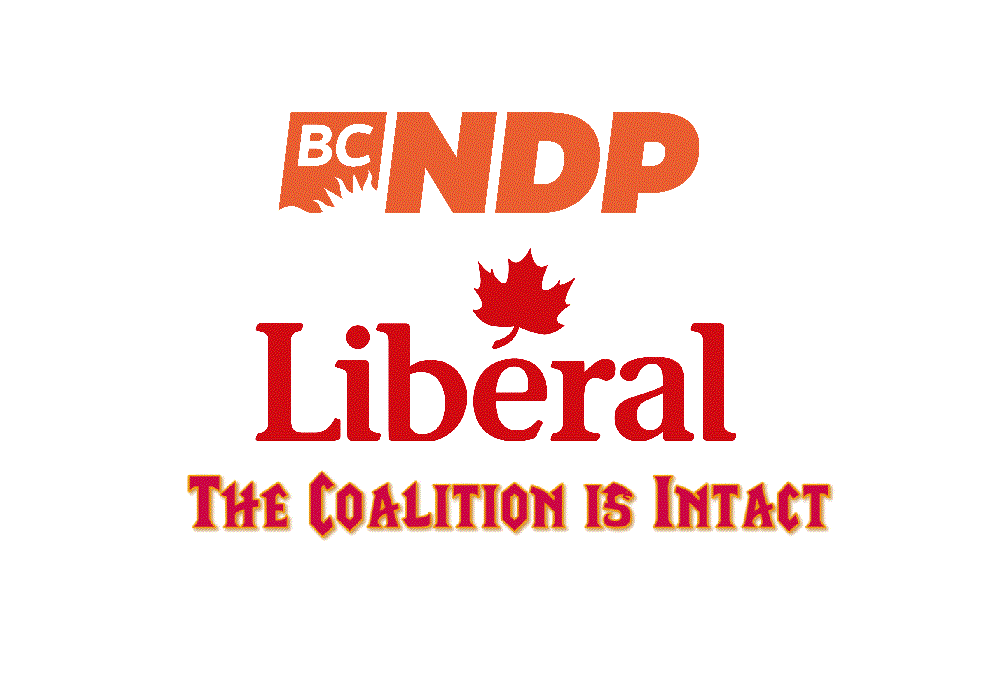 Federal Liberal Carol Fielding – Now pushing Sarah Zimmerman for NDP